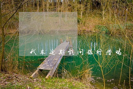 我车逾期能问银行借吗 我车逾期能问银行借吗