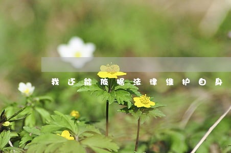 我还能依据法律维护自身权益吗 我还能依据法律维护自身权益吗