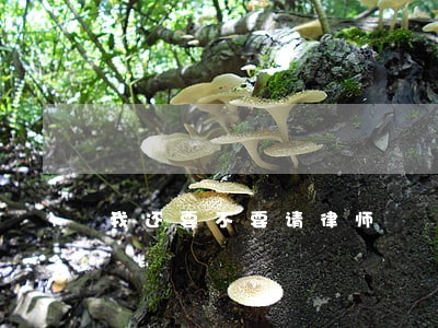 我还要不要请律师 我还要不要请律师