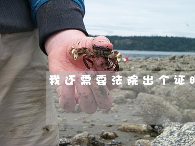 我还需要法院出个证明吗 我还需要法院出个证明吗
