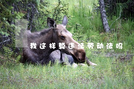 我这样算违法劳动法吗 我这样算违法劳动法吗