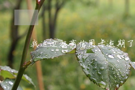 我这边招商信用卡逾期了 我这边招商信用卡逾期了