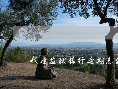 我进监狱银行逾期怎么解决 我进监狱银行逾期怎么解决