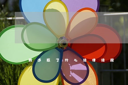 我违反了什么法律法规 我违反了什么法律法规