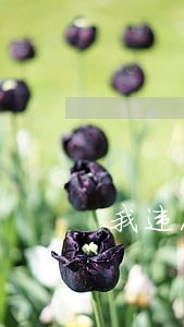 我违反法律了吗