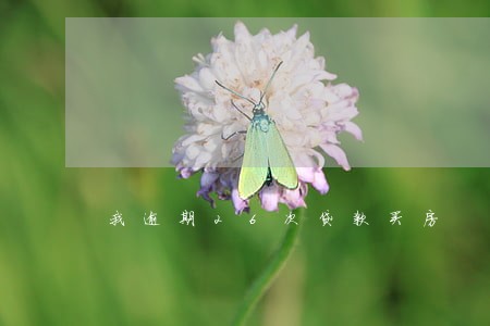 我逾期26次贷款买房 我逾期26次贷款买房