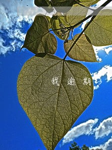我逾期3次还清了征信啥时候消除 我逾期3次还清了征信啥时候消除