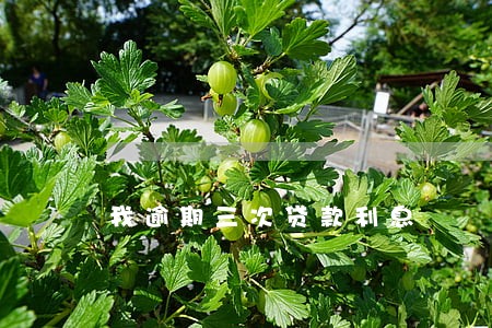 我逾期三次贷款利息 我逾期三次贷款利息