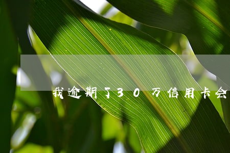 我逾期了30万信用卡会坐牢吗 我逾期了30万信用卡会坐牢吗