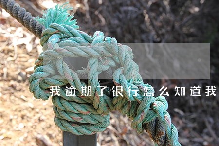 我逾期了银行怎么知道我在哪上班 我逾期了银行怎么知道我在哪上班