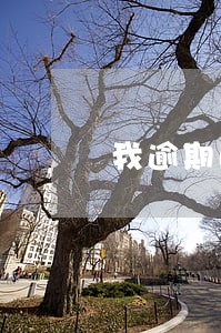 我逾期的网贷 我逾期的网贷