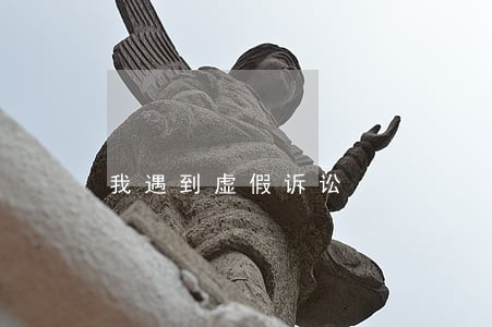 我遇到虚假诉讼 我遇到虚假诉讼
