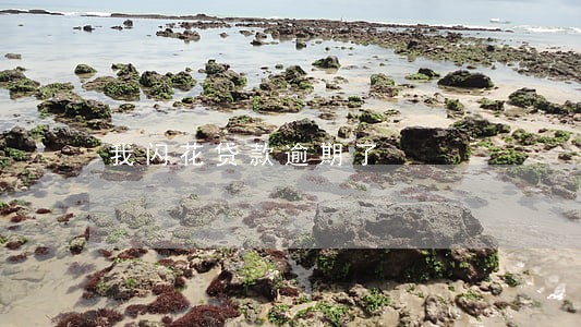 我闪花贷款逾期了 我闪花贷款逾期了