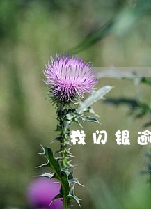 我闪银逾期7天没事吧 我闪银逾期7天没事吧