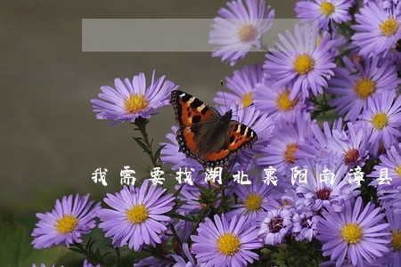 我需要找湖北襄阳南漳县的律师 我需要找湖北襄阳南漳县的律师