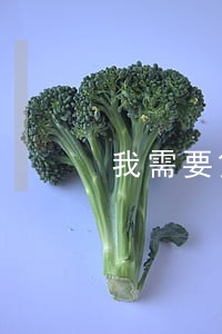 我需要贷款信用卡逾期 我需要贷款信用卡逾期