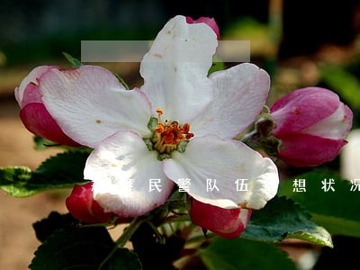 戒毒民警队伍思想状况分析 戒毒民警队伍思想状况分析