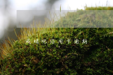 戒赌吧信用卡逾期