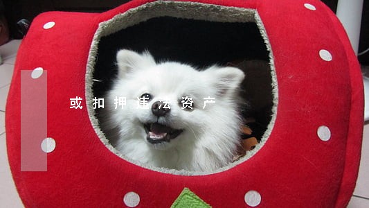 或扣押违法资产 或扣押违法资产