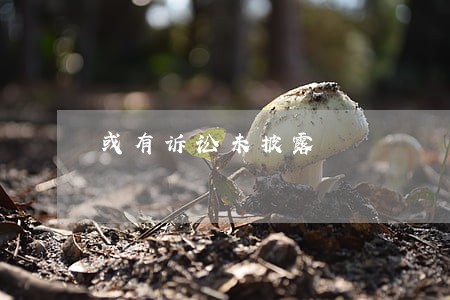 或有诉讼未披露 或有诉讼未披露