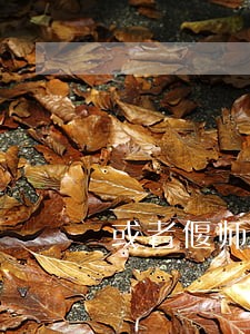 或者偃师律师事务所哪里有 或者偃师律师事务所哪里有