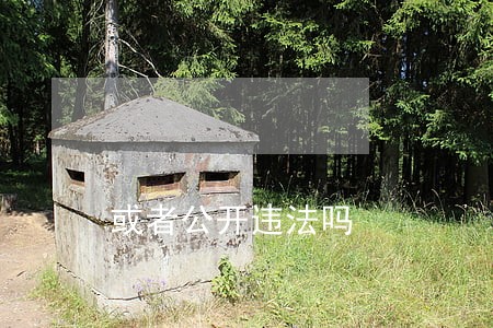或者公开违法吗
