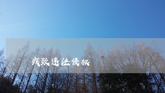 或致违法侵权 或致违法侵权