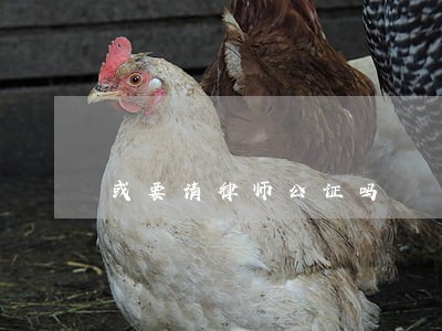 或要请律师公证吗 或要请律师公证吗
