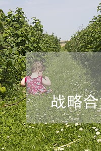 战略合同协议法律意见书 战略合同协议法律意见书