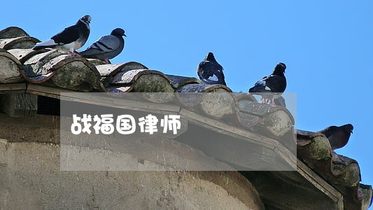 战福国律师 战福国律师