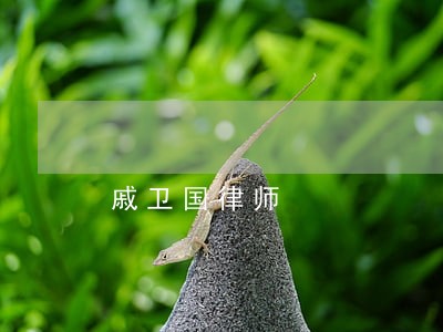 戚卫国律师 戚卫国律师