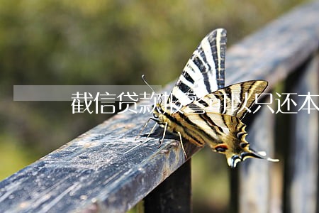 截信贷款报警可以只还本金吗 截信贷款报警可以只还本金吗