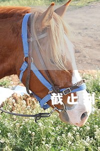 截止到2021年信用卡逾期总额 截止到2021年信用卡逾期总额