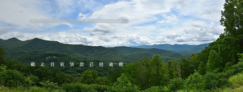 截止目前贷款已经逾期 截止目前贷款已经逾期