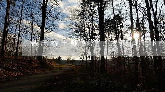 戴启睿律师解答了我想问一下 戴启睿律师解答了我想问一下