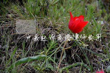 户县起诉离婚律师费用 户县起诉离婚律师费用