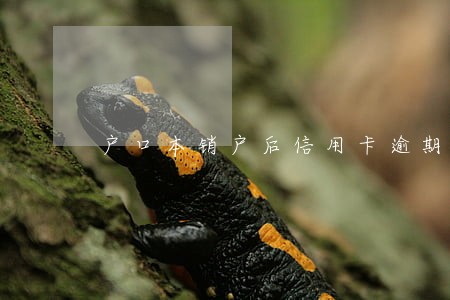 户口本销户后信用卡逾期怎么办