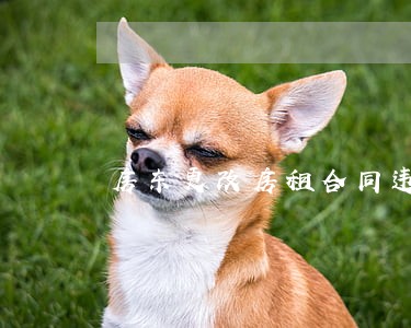 房东更改房租合同违法吗 房东更改房租合同违法吗