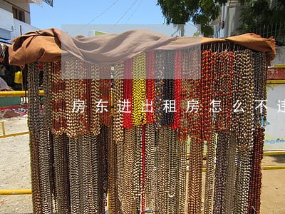房东进出租房怎么不违法 房东进出租房怎么不违法