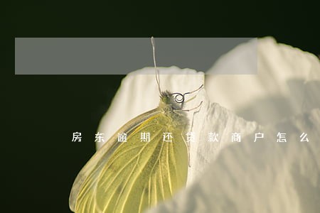 房东逾期还贷款商户怎么办 房东逾期还贷款商户怎么办