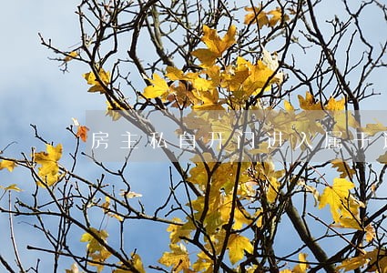 房主私自开门进入属于违法的吗 房主私自开门进入属于违法的吗