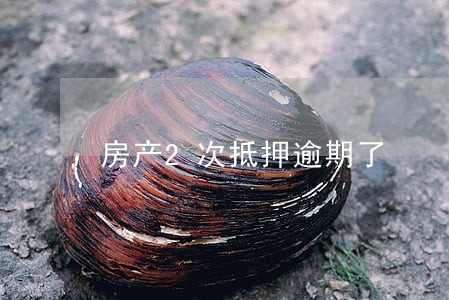 房产2次抵押逾期了 房产2次抵押逾期了