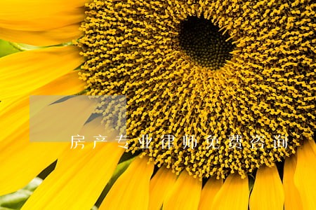 房产专业律师免费咨询 房产专业律师免费咨询