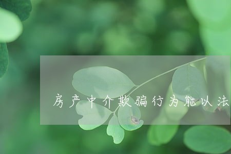 房产中介欺骗行为能以法律定性吗 房产中介欺骗行为能以法律定性吗