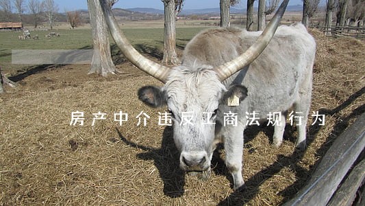 房产中介违反工商法规行为 房产中介违反工商法规行为