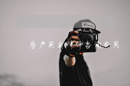 房产买卖律师咨询费用 房产买卖律师咨询费用