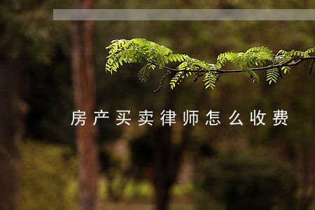 房产买卖律师怎么收费 房产买卖律师怎么收费