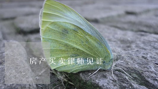 房产买卖律师见证 房产买卖律师见证