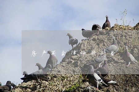 房产买卖律师顾问费 房产买卖律师顾问费