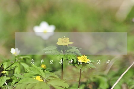 房产交易增值税法规